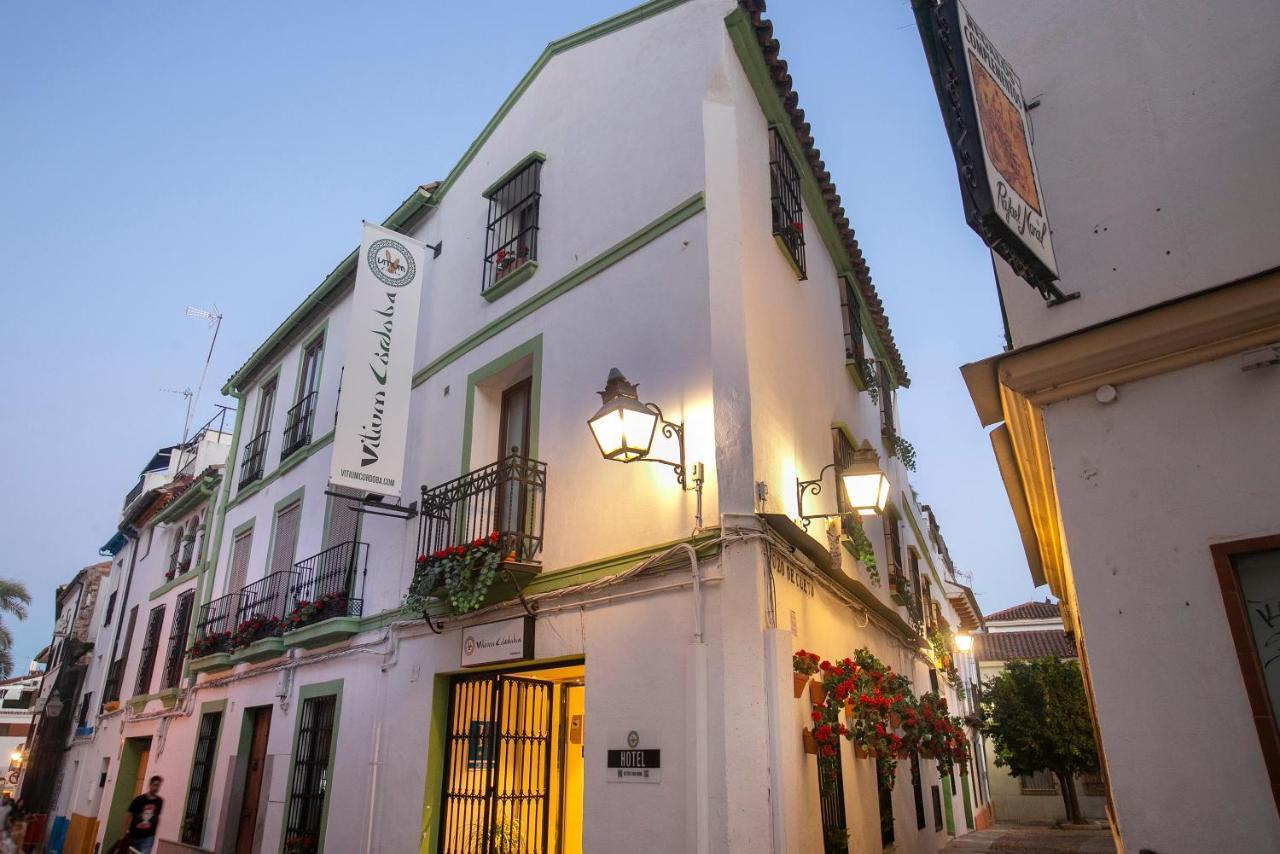 Vitium Cordoba, Cordoba